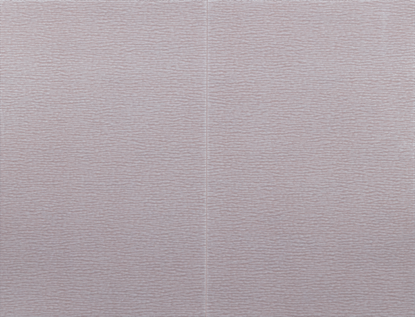 ProFlex Neptune Fóliás csiszoló – 130 x 170 mm